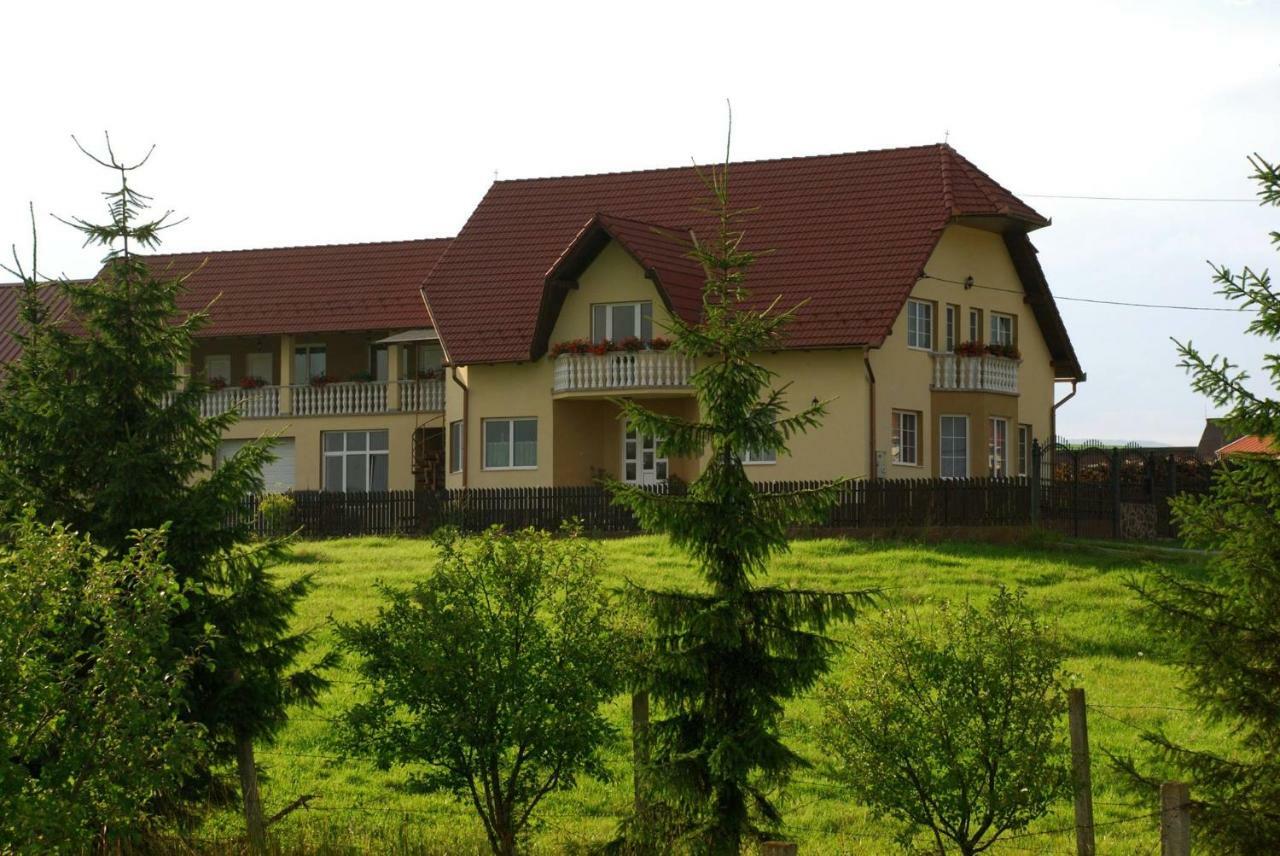 Margareta Vendeghaz Hotel Lupeni  Екстериор снимка