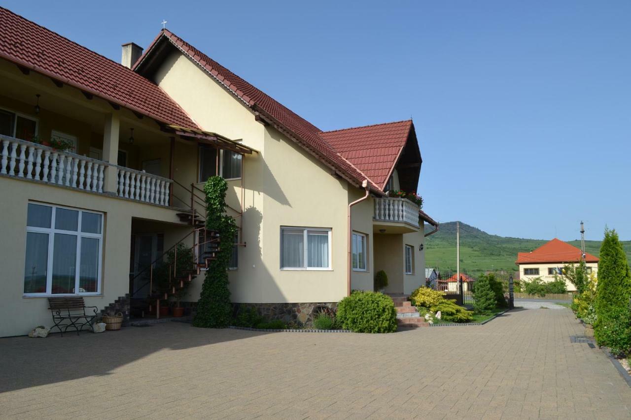 Margareta Vendeghaz Hotel Lupeni  Екстериор снимка